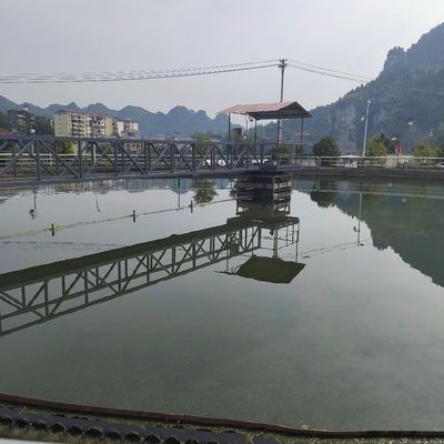 معدات مكشطة الحمأة نصف الجسر محرك طرفي من الصلب الكربوني