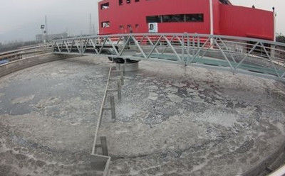 نظام مكشطة الحمأة الطرفية ، مكشطة الحمأة السفلية المصنوعة من الفولاذ المقاوم للصدأ